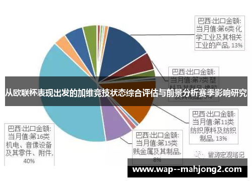 从欧联杯表现出发的加维竞技状态综合评估与前景分析赛季影响研究
