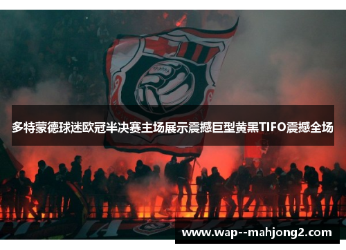 多特蒙德球迷欧冠半决赛主场展示震撼巨型黄黑TIFO震撼全场